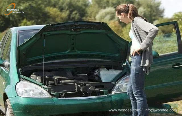 abnormal noise (1) ненормальный шум (1)