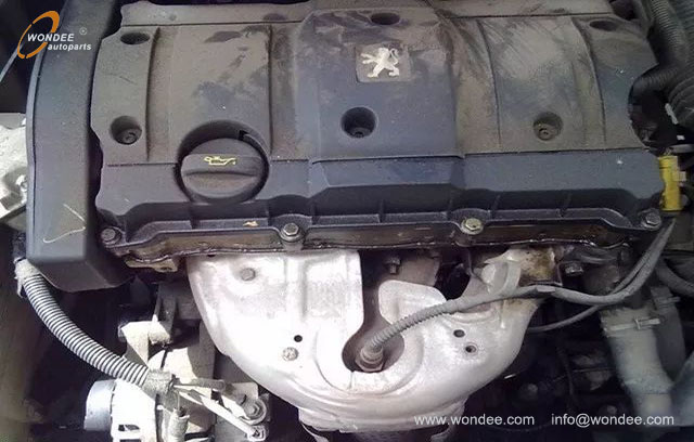 engine leaks oil (5) Утечка двигателя масло (5)