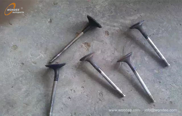 ГРМ -ремень (3)