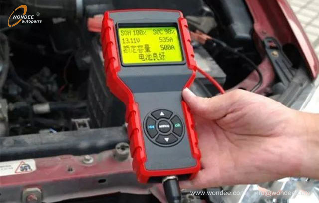 Зимние манитирование (4)