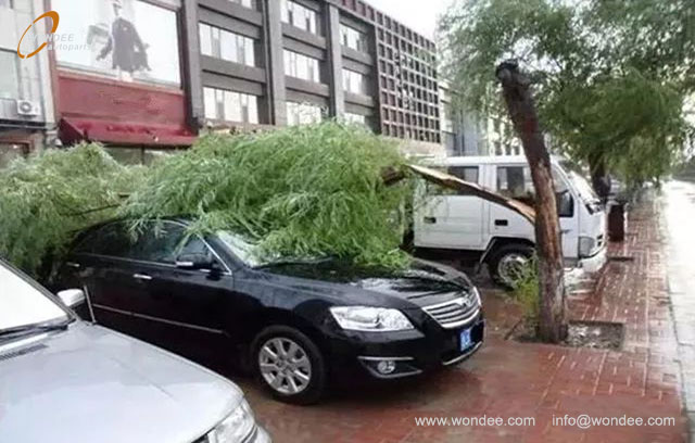 Автомобили (3)