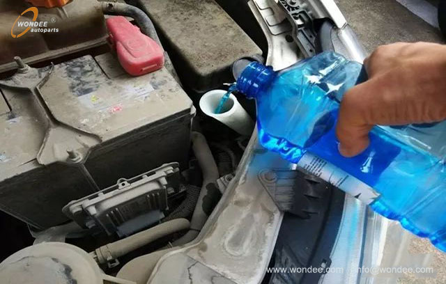 Зимние манитирование (5)