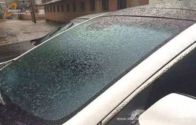 Морозы на ветровом стекле (1)