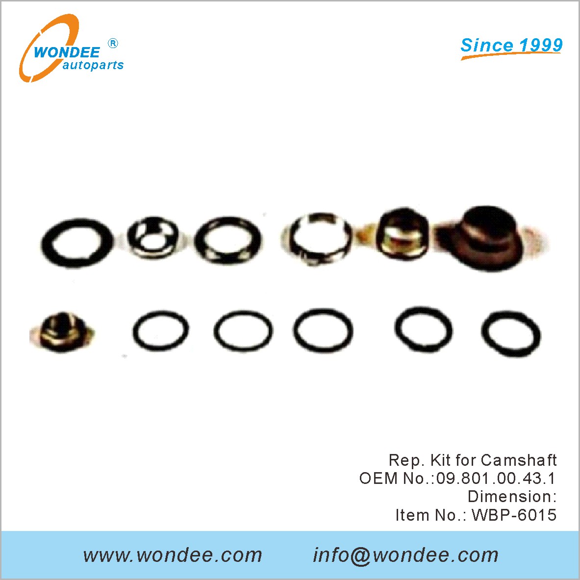 Rep Kit для распределительного вала OEM 0980100431 для BPW от Wondee