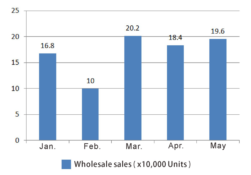 Новый энергетический пассажирский автомобиль (3)