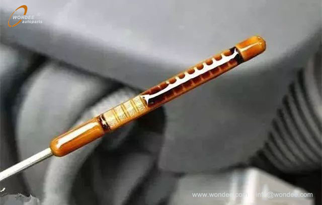 Летняя проверка (4)