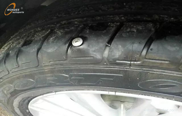 Плоская шина (2)